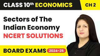 Sectors of The Indian Economy  NCERT Solutions  Class 10 Economics Chapter 2  CBSE 2024 [upl. by Aihtnic]