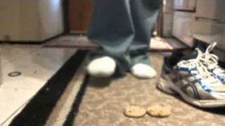 hanes socks and stepping on chips ahoy cookies [upl. by Golightly]