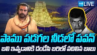 LIVE Tirumala Laddu Issue Tripuraneni Chittibabu About Pawan Kalyan amp Chandrababu  SakshiTV [upl. by Meredithe138]