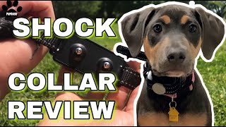 PaiPaitek Vibration Collar for 2 Dogs No Shock Dog Training Collar Review [upl. by Eyak]