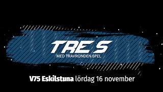 Speltips V75 Eskilstuna 16 november [upl. by Goldner94]