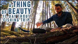 11Day Wilderness Trout Fishing Trip  Solo Camping amp Canoeing [upl. by Gerladina280]