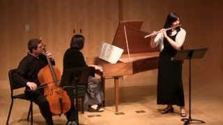 Laurel Maurer Telemann Sonata in F minor for Flute and Harpsichord [upl. by Ronna407]