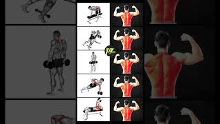 Get Toned Back Muscles in Just 10 Minutes a Day gym workout backworkout fitness [upl. by Savage]