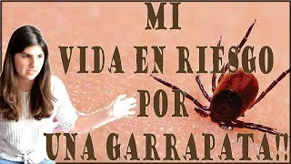 QUE PASA SI TE PICA UNA GARRAPATA ENFERMEDAD DE LYME [upl. by Ahsinrat]