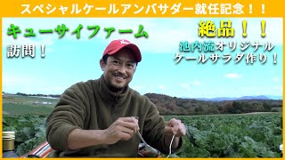 【スペシャルケールアンバサダー就任記念】島根キューサイファーム訪問！採れたてケールで絶品サラダ作り！ [upl. by Doralin]