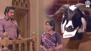 Indha Aaddu 🐐 dhaan sachi ah 😱😨😳 Aatukara Alamelu  Siva Kumar  Sri Priya  Nagesh rajshritamil [upl. by Eidok98]