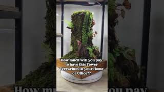 Want a STUNNING Tower Terrarium Watch This Now [upl. by Airednaxela373]