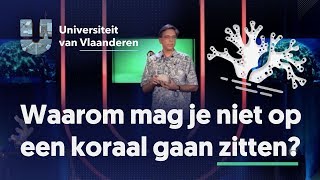 Waarom mag je niet op een koraal gaan zitten [upl. by Kcyred956]