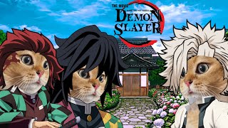 CAT MEMES  Demon Slayer  Compilation [upl. by Eadahs450]