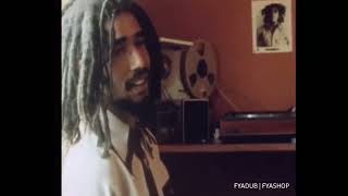 Reggae In A Babylon  Documentary 1978 [upl. by Frances]