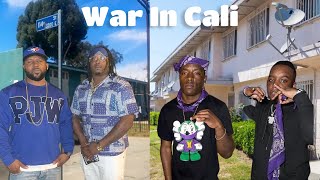 Watts Deadly War PJ Watts Crips VS Grape Street Crips [upl. by Oskar]