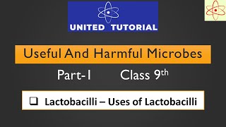 Useful and Harmful Microbes Part1  Class 9th  Lactobacilli  Uses of Lactobacilli 9thscience [upl. by Erme534]