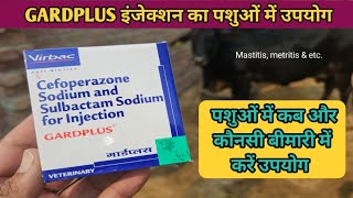 GARDPLUS Injection  पशुओं में कब और कौनसी बीमारी में लगाये  सम्पूर्ण जानकारी  Pet vet town [upl. by Aleirbag703]