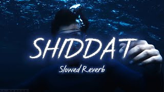 Shiddat Song Slowed Reverb  Sunny KaushalRadhika Madan Mohit Raina Diana P  Manan Bhardwaj [upl. by Bowers]