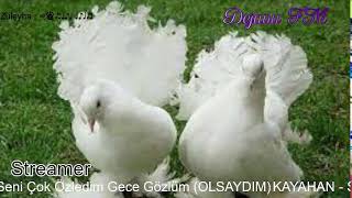 Dejavu🕊 FM • Canlı İstek Yayını  Online Radyo Dinle [upl. by Rojam]