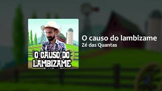 O Causo do lambizame 1 Áudio Oficial [upl. by Idorb]