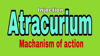 Injection Atracurium acuran Machanism of action [upl. by Rolyak]