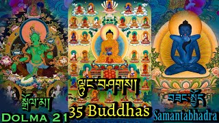 ☸Dolma 21སྒྲོལ་མ35 Buddhasལྟུང་བཤགསSamantabhadra བཟང་སྤྱོདGood Luck Confession PrayerMonlam [upl. by Cynthy]