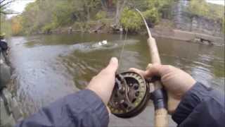 Salmon and Trout Fishing New York [upl. by Bounds]