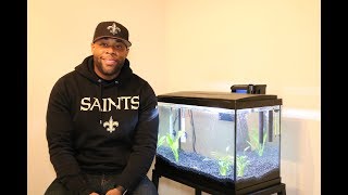 20 Gallon Fish Tank Setup [upl. by Meryl]