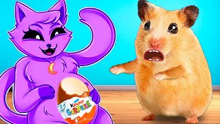 CATNAP Pregnant Escaped Hamster Maze with Egg Kinder the Awesome in Real Life by Great Hamster [upl. by Beverley]