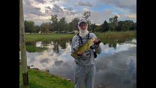 Boskop Dam Bass Fishing March 2021 Part 1 [upl. by Emyam853]