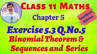 TN Class 11th Maths  Exercise 53 QNo5  Binomial Theorem Sequences and Series TN New Syllabus [upl. by Adliwa]