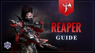 Reaper BEGINNER GUIDE  Lost Ark Class Overview [upl. by Azile940]