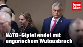 Ungarischer Wutausbruch NATOGipfel endet mit heftigem Eklat [upl. by Dunham]