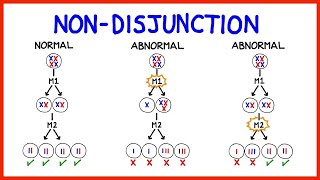 Chromosomal Abnormalities Aneuploidy and NonDisjunction [upl. by Roskes446]