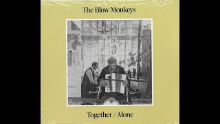 NEW CD SPOTLIGHT THE BLOW MONKEYS  Together  Alone [upl. by Hannazus]