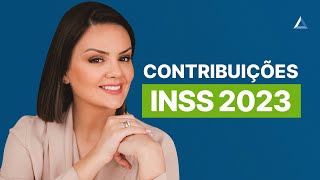 Quanto pagar de INSS em 2023 Contribuição para CLT autônomos MEI e facultativos [upl. by Jenkins786]