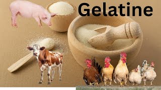 Gelatine Secrets  How gelatine made  Benefits of gelatine [upl. by Nailij332]