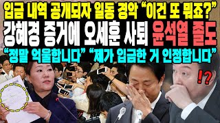 입금 내역 공개되자 일동 경악 “이건 또 뭐죠”강혜경 증거에 오세훈 사퇴 윤석열 졸도“정말 억울합니다” “제가 입금한 거 인정합니다” [upl. by Burkhart]