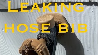 How to fix a leaking hose bib aka wall hydrant spigot or outdoor faucet [upl. by Nikkie776]