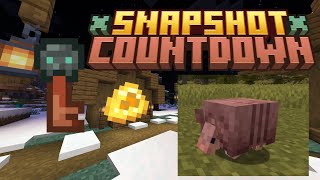 Minecraft 121 Snapshot Today Countdown To Snapshot 24w02a Armadillo Changes Not Confirmed [upl. by Letitia]