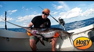 Deep Dropping Lures For Swordfish  How To Fish For Daytime Swordfish [upl. by Anele]