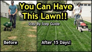 Fix an Ugly Lawn with Overseeding  Complete Step by Step Guide For Beginners [upl. by Loren]