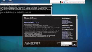 Faire fonctionner Minecraft sur Ubuntu avec une carte graphique ATI [upl. by Eelyab]