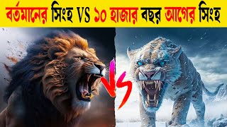 ইতিহাসের সবচেয়ে ভয়ঙ্কর দুইটি প্রাণীর লড়াই  SaberToothed TigerSmilodon vs Barbary Lion [upl. by Katy650]