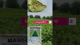 MANCOZEB Fungicide ka upyog kaise kare shorts agrishort mancozeb [upl. by Harutak47]