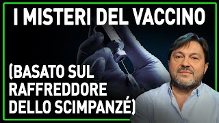 CONTRATTI SEGRETI SUL VACCINO STATO ITALIANO PAGA BIG PHARMA GUADAGNA MILIARDI ► Ranucci Report [upl. by Liddle278]