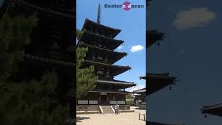 Horyuji Temple in Nara Japan It is a highspeed tour of its grounds Shorts [upl. by Valenza]