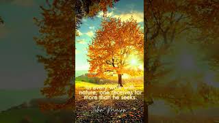 Nature Quotes  Walk in Nature  Autumn shorts quotes [upl. by Dorcas]