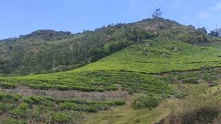 Theni Megamalai [upl. by Mayworm]