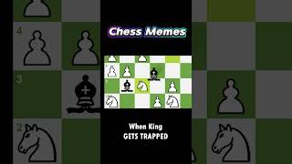 Whats the Bishops Secret Weapon  Chess Memes [upl. by Ag888]