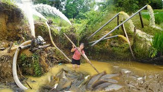 Full video Modern technology use 4 pumps to suck 200 blocks of wild lake Catch fish to sell [upl. by Gerg417]