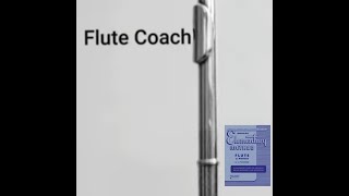 Rubank Elementary Method Flute Lesson 4 Excersise 1 [upl. by Reich]