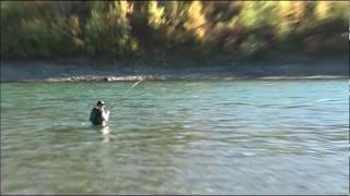 Fliegenfischen am Bulkley auf Steelhead on the Bulkley for Steelhead [upl. by Severen197]